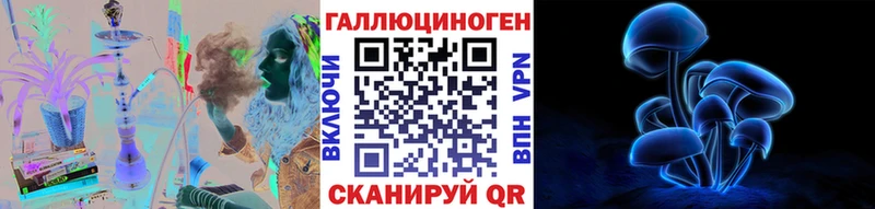 Галлюциногенные грибы Magic Shrooms закладки Абакан